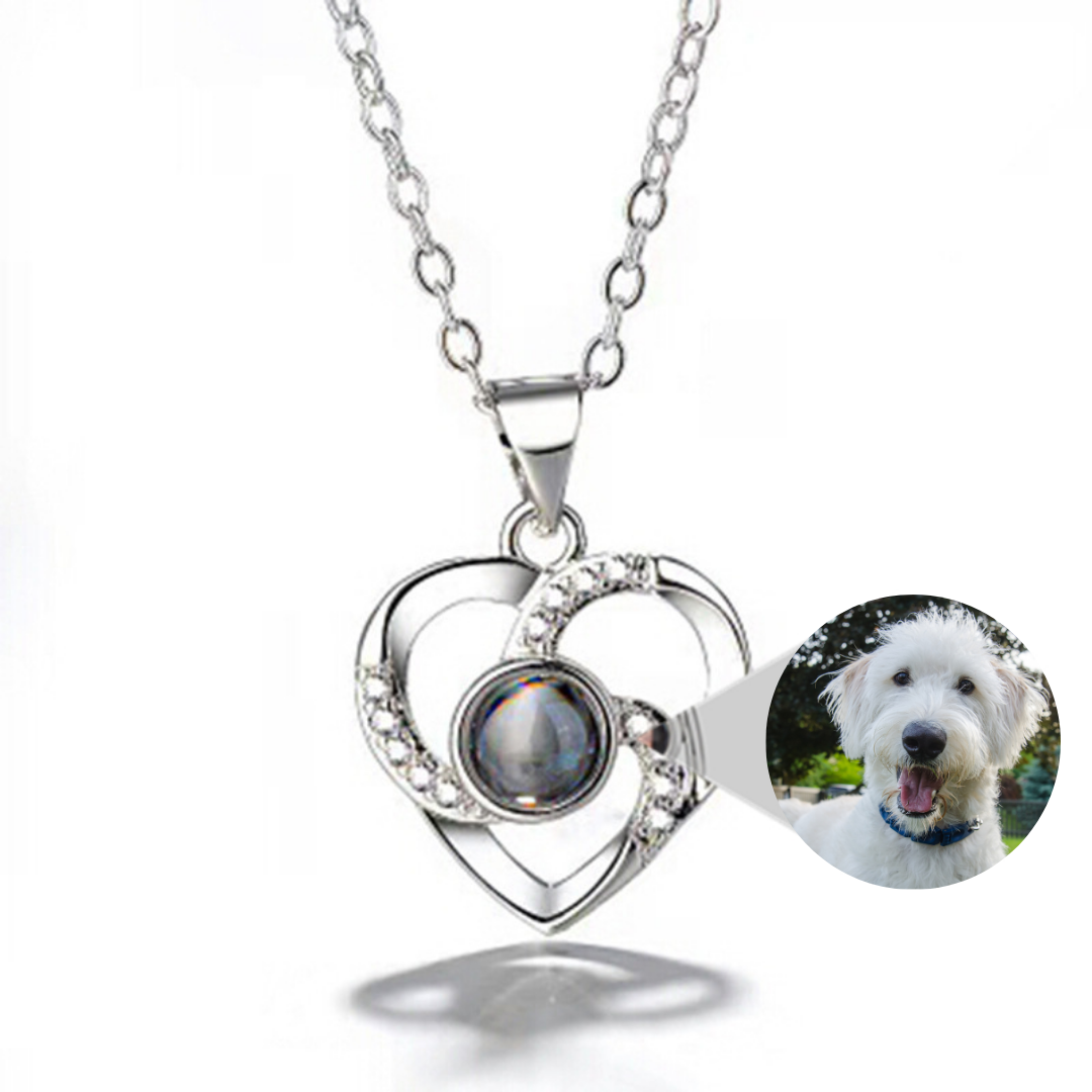 PetHearts Custom Photo Projection Locket Necklace
