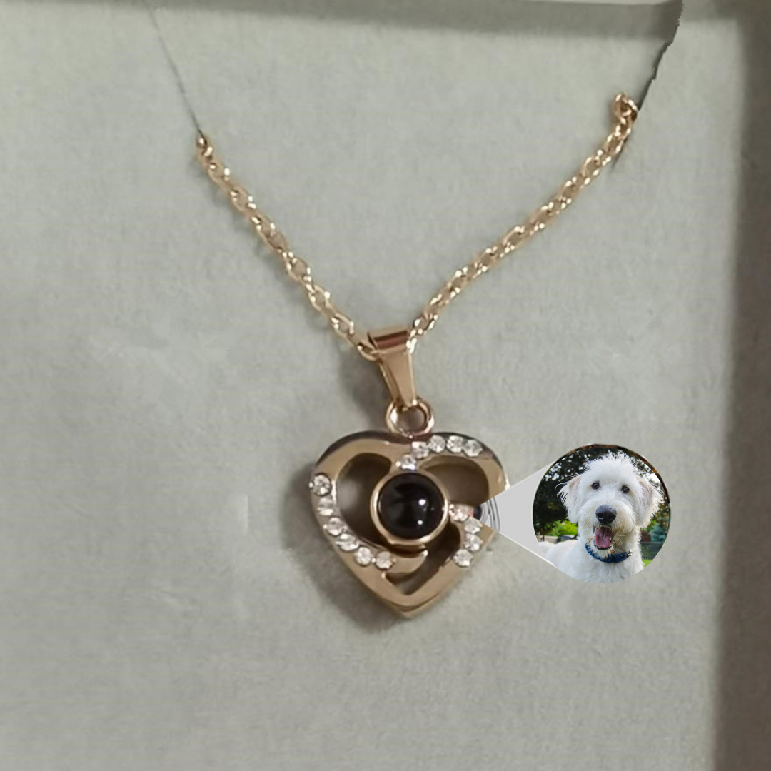PetHearts Custom Photo Projection Locket Necklace
